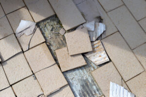 steptodown.com981595